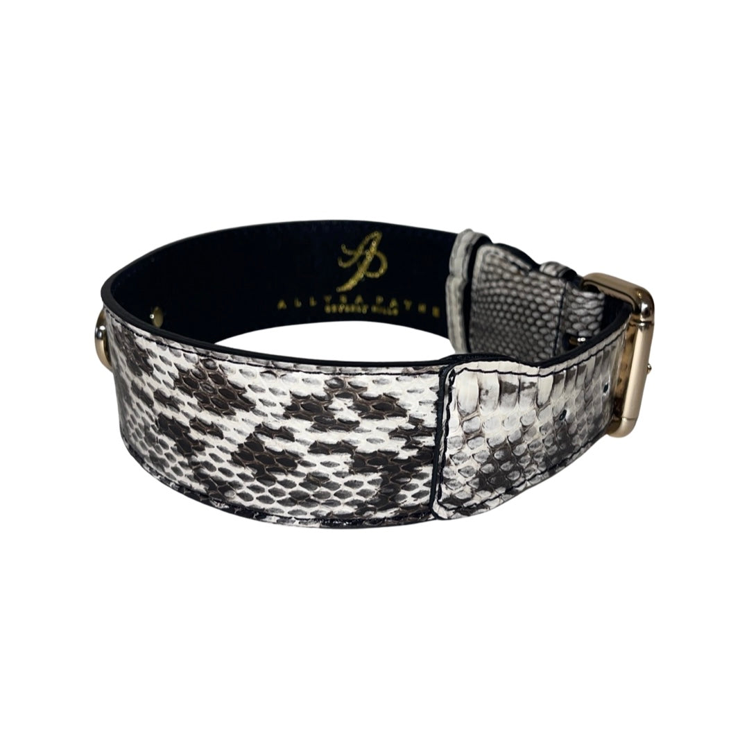 Allysa Payne White & Black Classic Snake Dog Collar