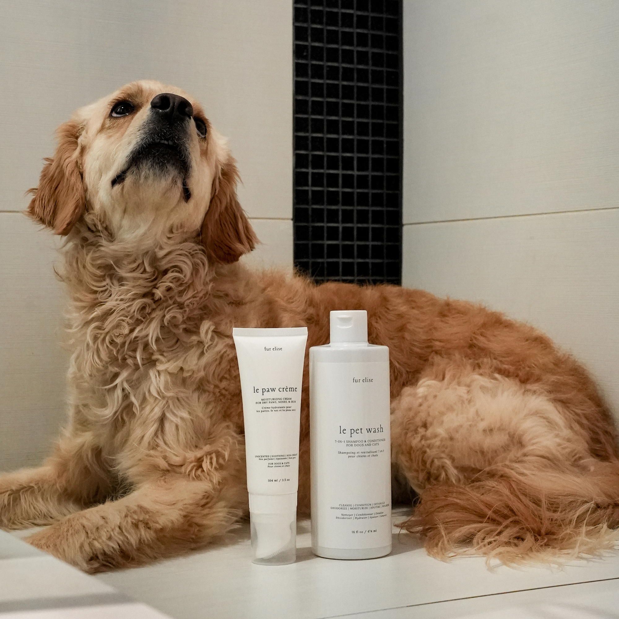 Le Grooming Set