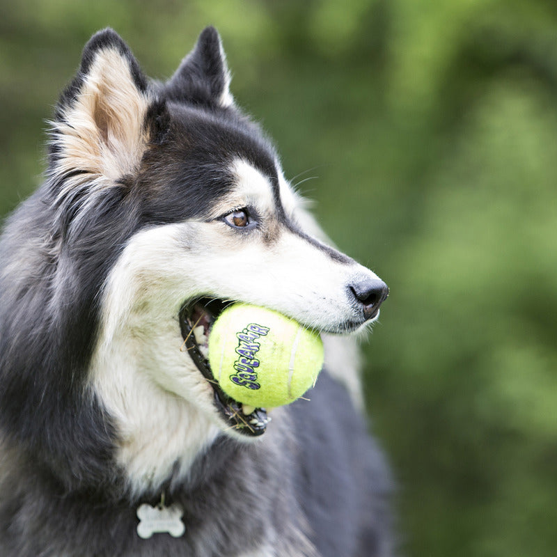 Kong SqueakAir Tennis Balls (2-3pck) - HT Animal Supply