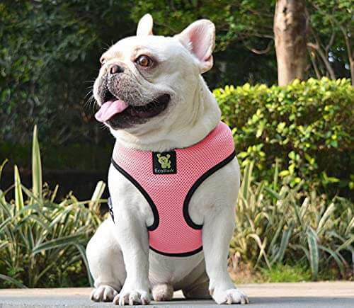 EcoBark – Bubblegum Pink Max Comfort Dog Harness