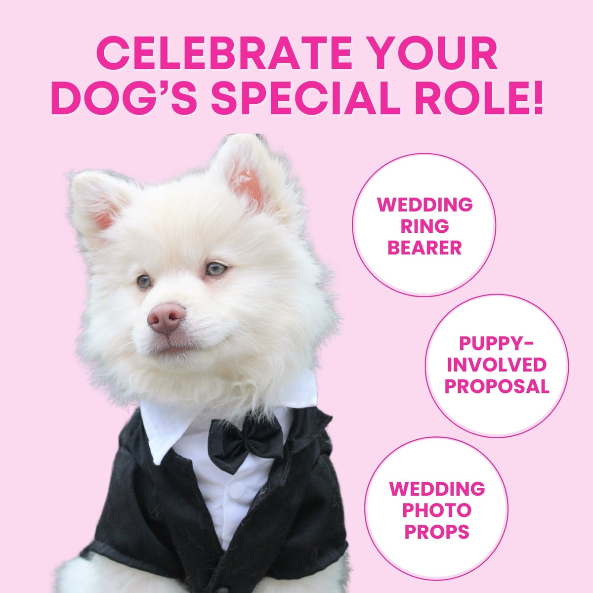 Glow Pups: Engagement Ring Squeaky Plush Dog Toy