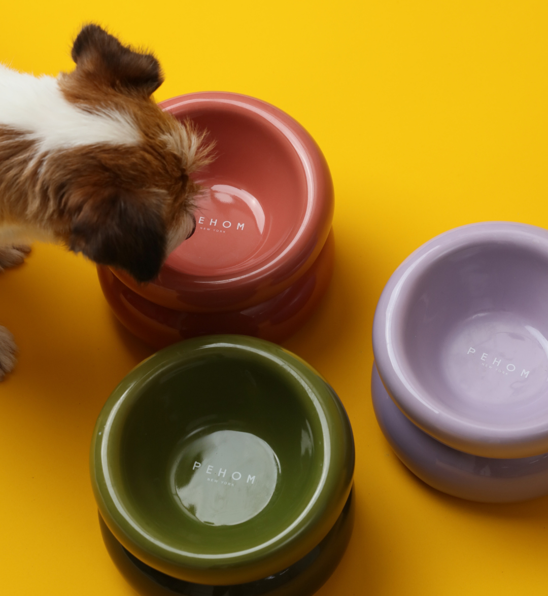 Souffle Pet Bowl-Purple