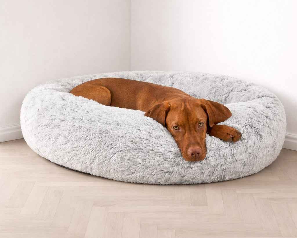 Bowsers Icelandic Shag Orthopedic Dog Bed – Supportive Joint-Relief Comfort