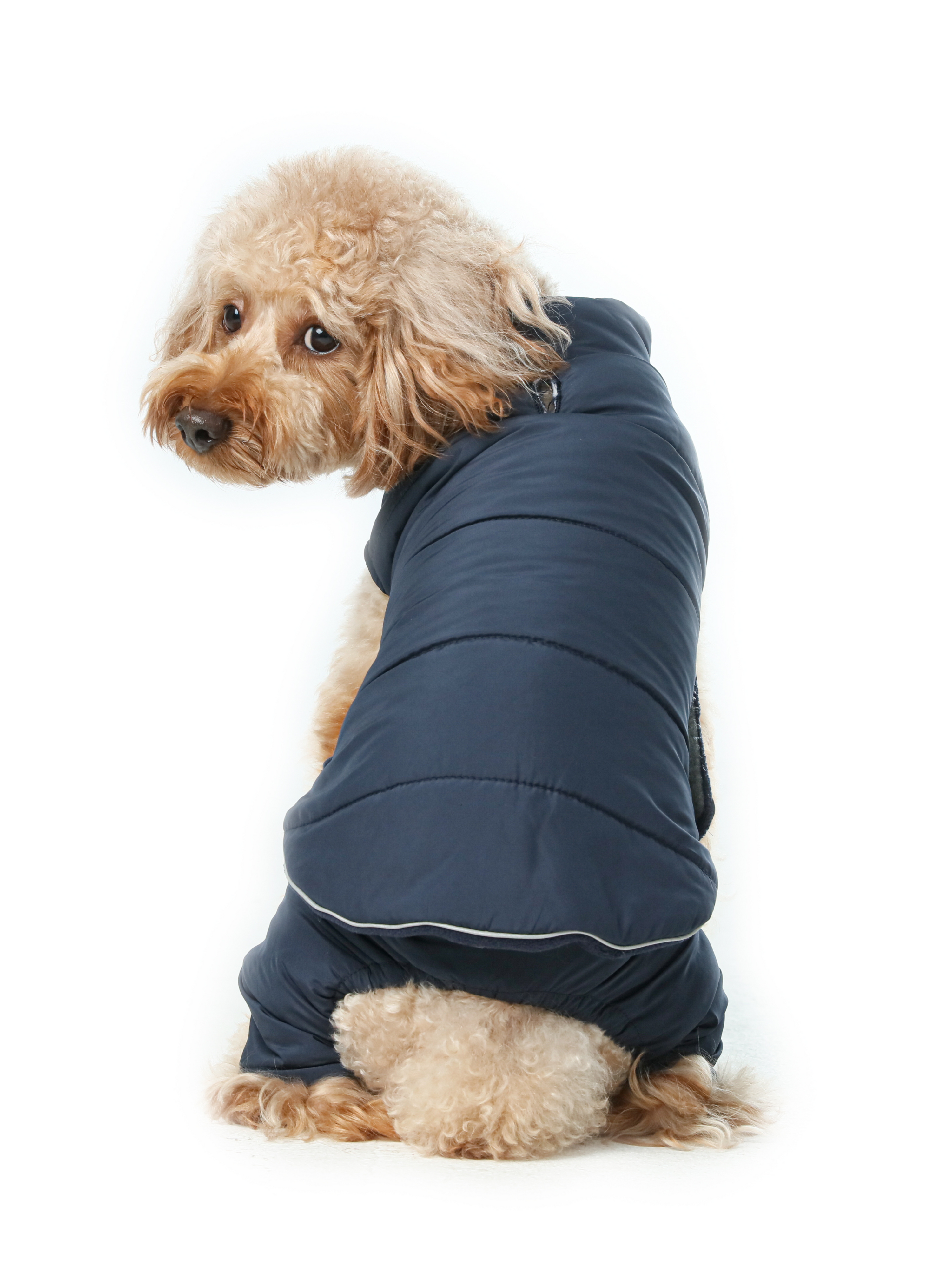 Reversible Dog Vest Jacket-Blue