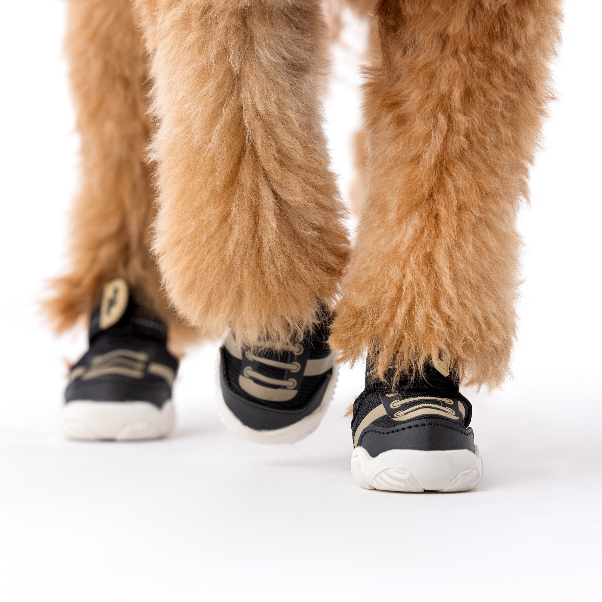 The Kai Dog Shoes