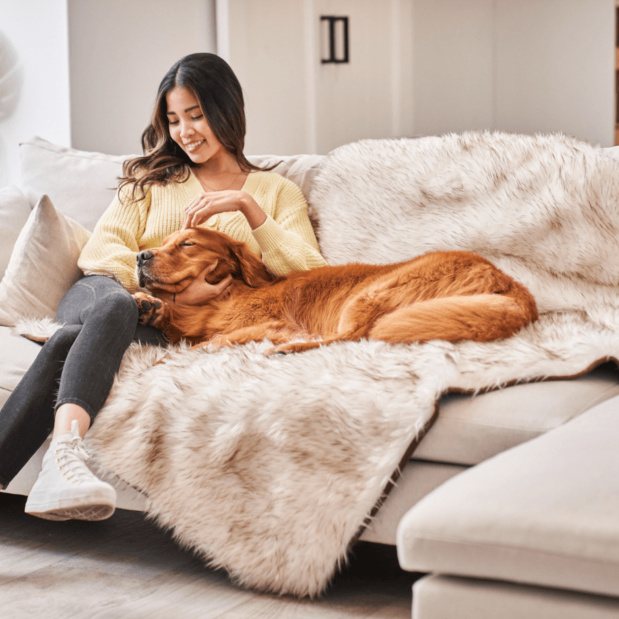 PupProtector Waterproof Throw Blanket White with Brown Accents