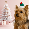 Festive Knit Pom-Pup Dog Hair Barrette