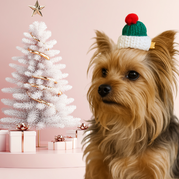 Festive Knit Pom-Pup Dog Hair Barrette