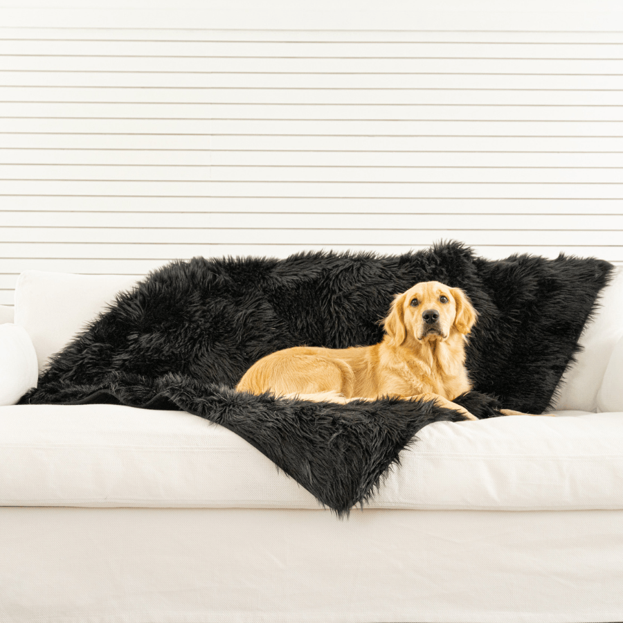 PupProtector™ Waterproof Throw Blanket - Midnight Black | HT Animal Supply