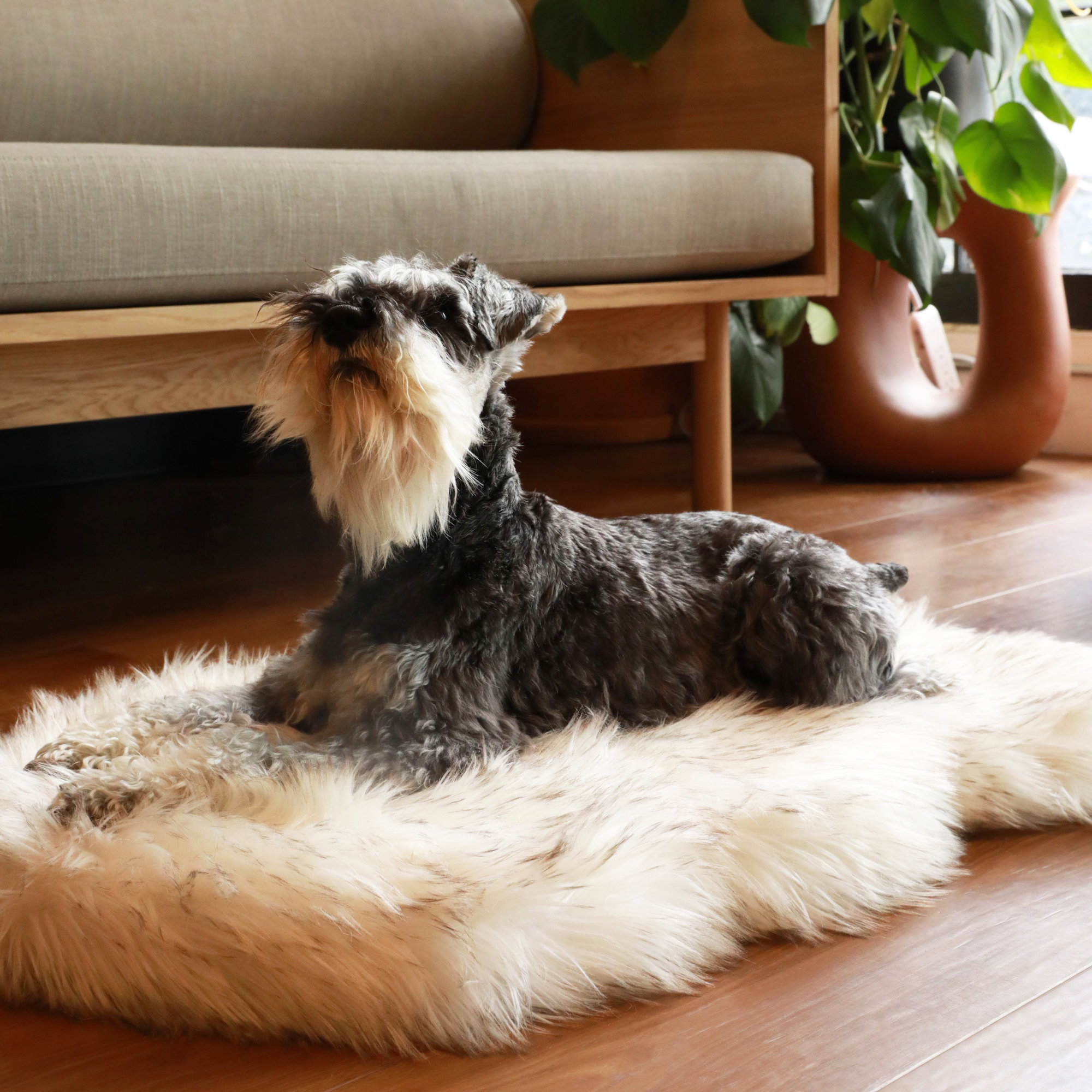 Puprug Faux Fur Orthopedic Dog Bed Curve White with Brown Accents