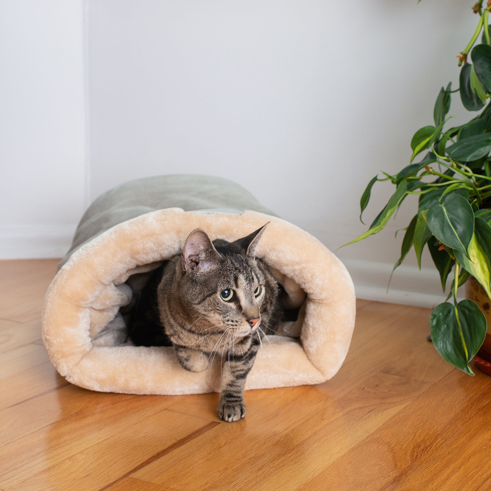 Armarkat Sleep Cat Bed Soft Cave Bed for Dog and Cat C15HHL/MH Sage Green & Beige