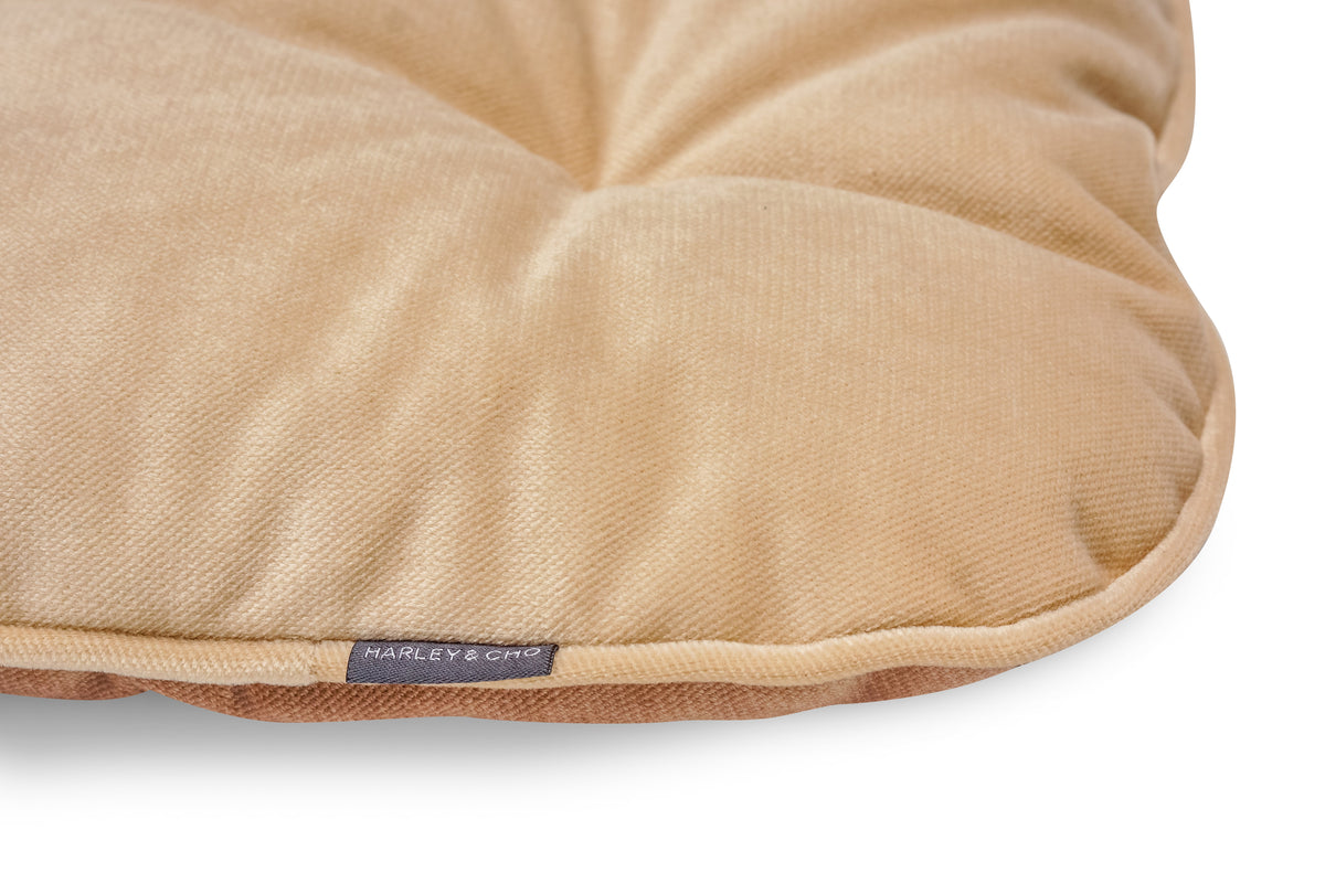 Tomas Pillow for Small Dogs