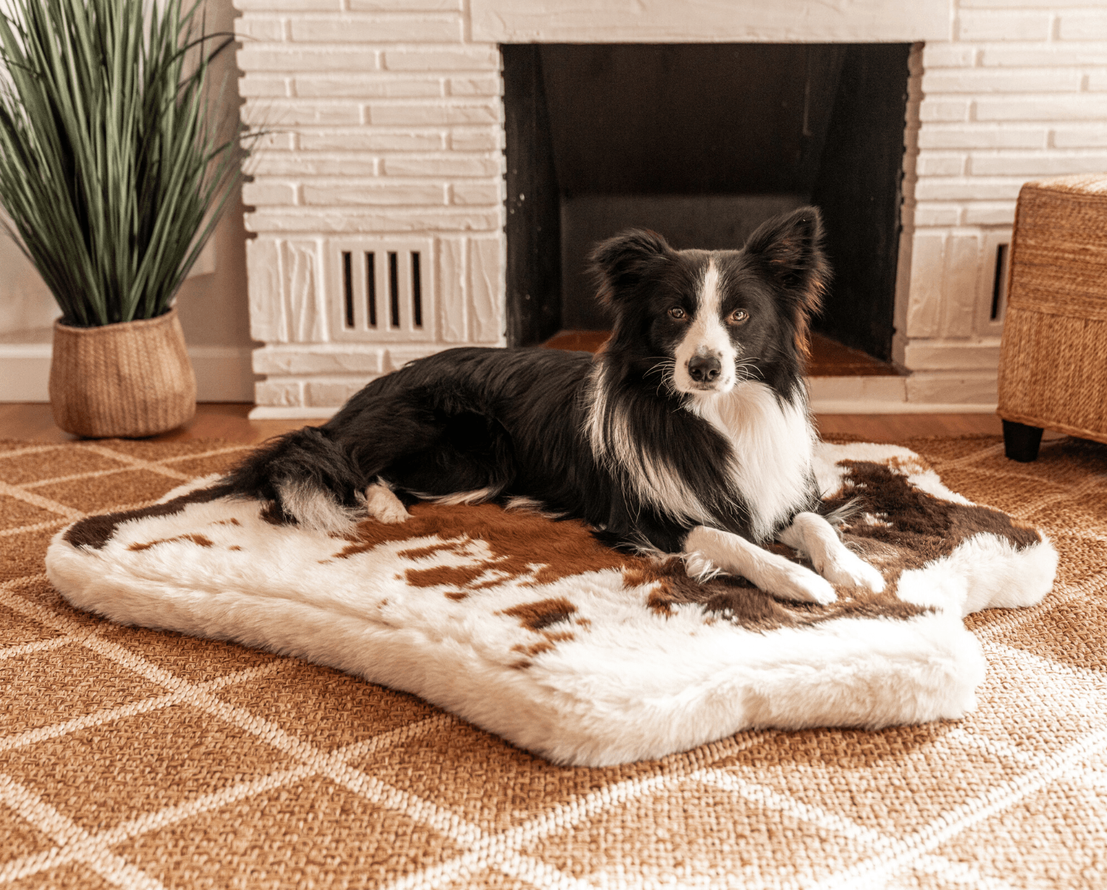PupRug Animal Print Memory Foam Dog Bed Brown Faux Cowhide