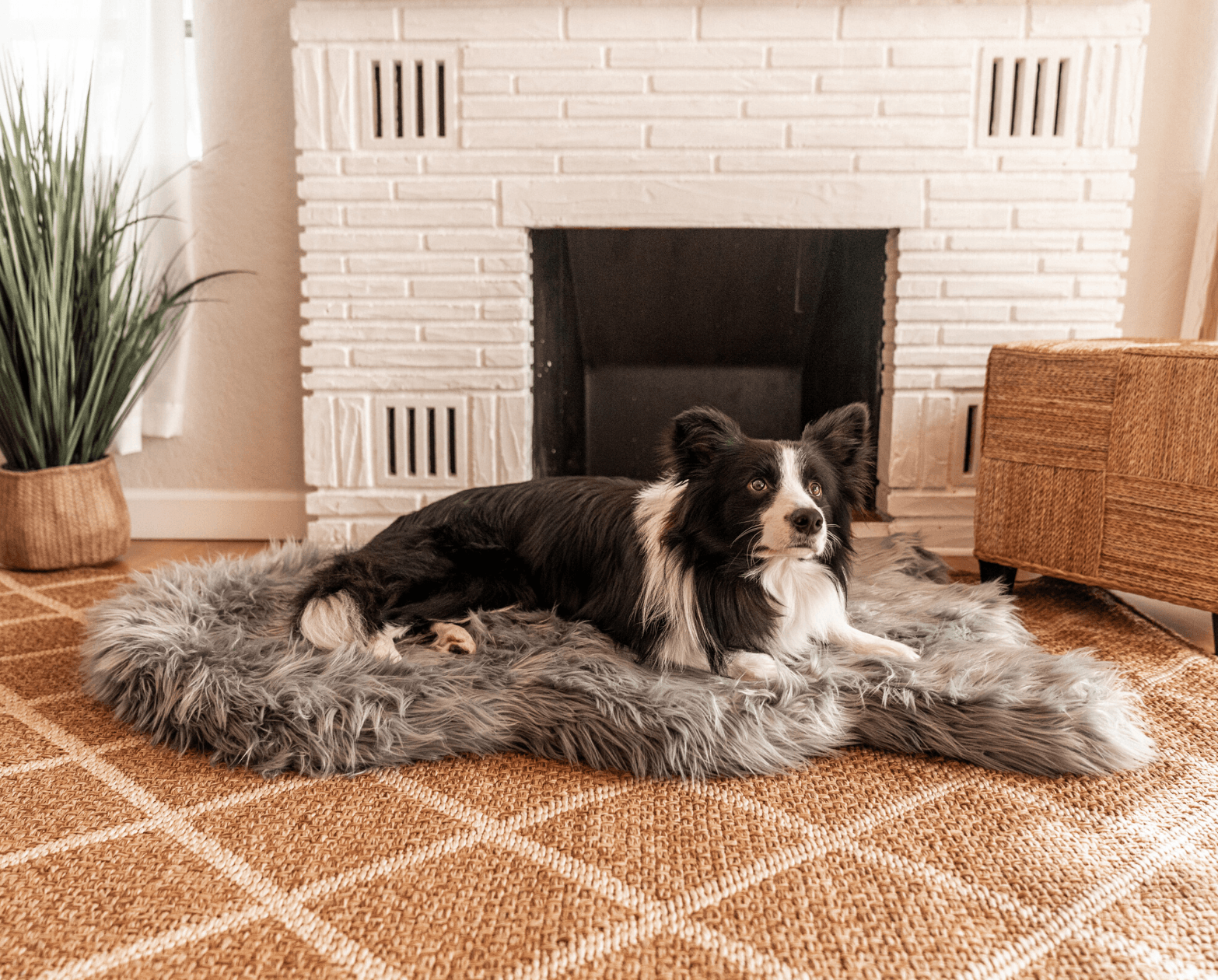 Puprug Faux Fur Orthopedic Dog Bed Curve Charcoal Grey