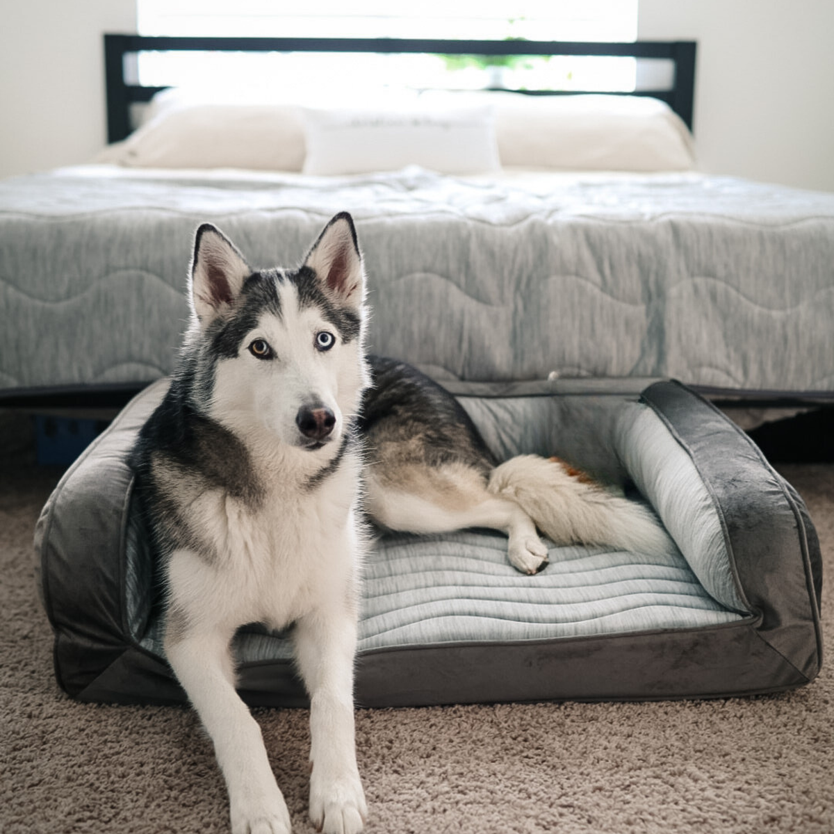 PupChill Cooling Bolster Dog Bed Waterproof Blanket Bundle Arctic Grey