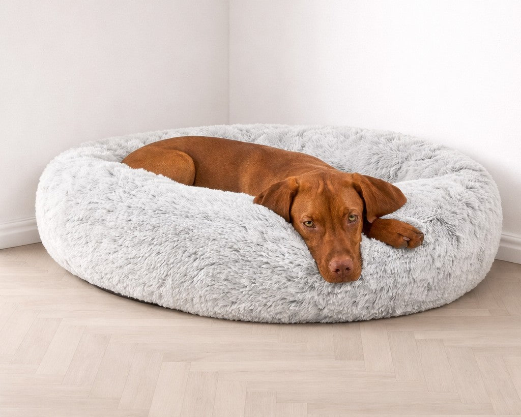 Bowsers Icelandic Shag Orthopedic Dog Bed - Supportive Joint-Relief Comfort