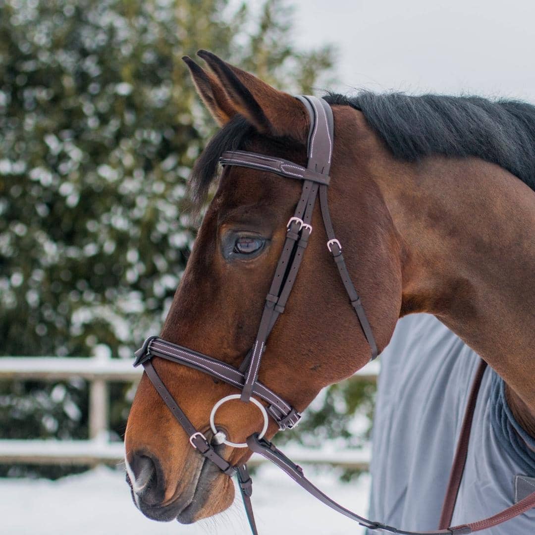 Replacement Noseband of ExionPro Fully Padded Snaffle Bridle with U Shaped Detachable Flash - HT Animal Supply