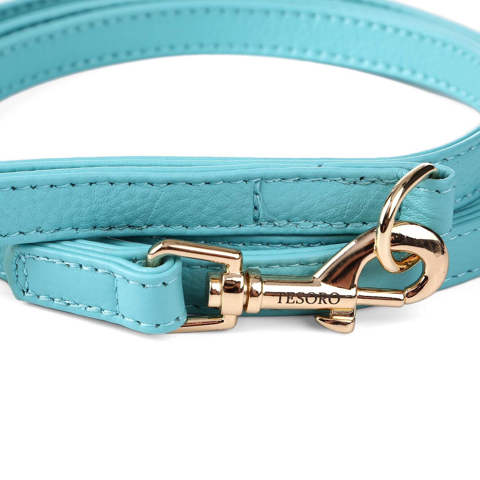 Dog Leash