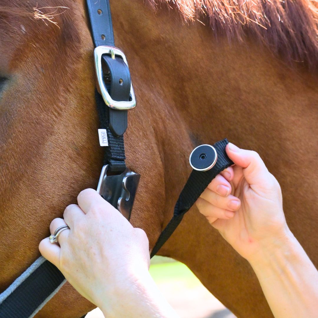 Magna Halter TM in Black with Fleece Noseband and Leather Breakaway