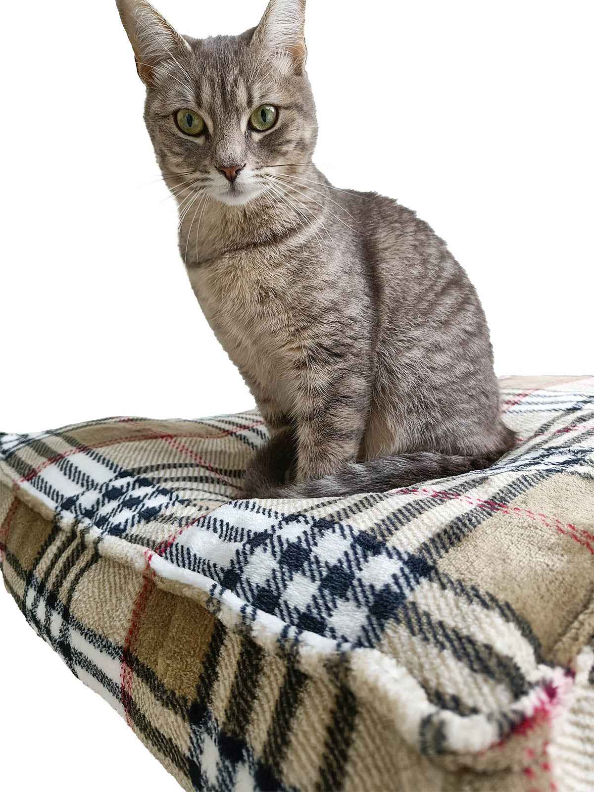 Betsy Reversible Washable Pet Pillow Bed