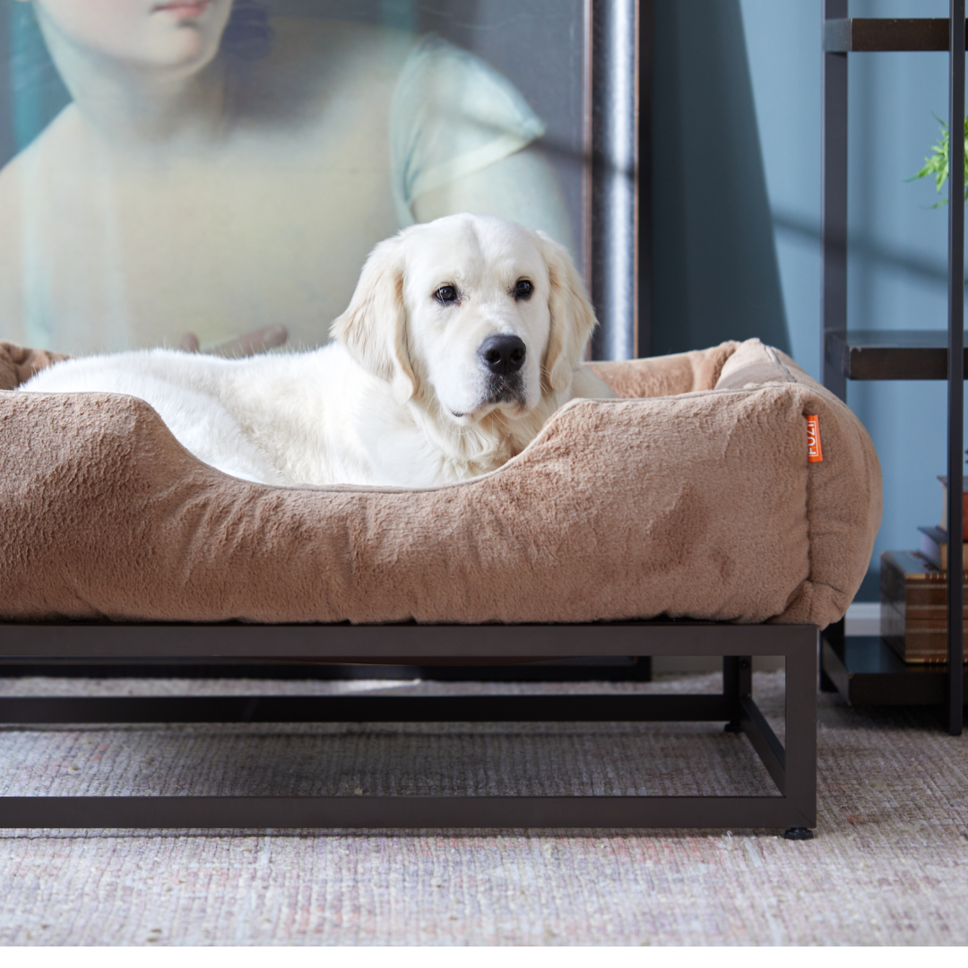 The FUZI Elevated Dog Bed