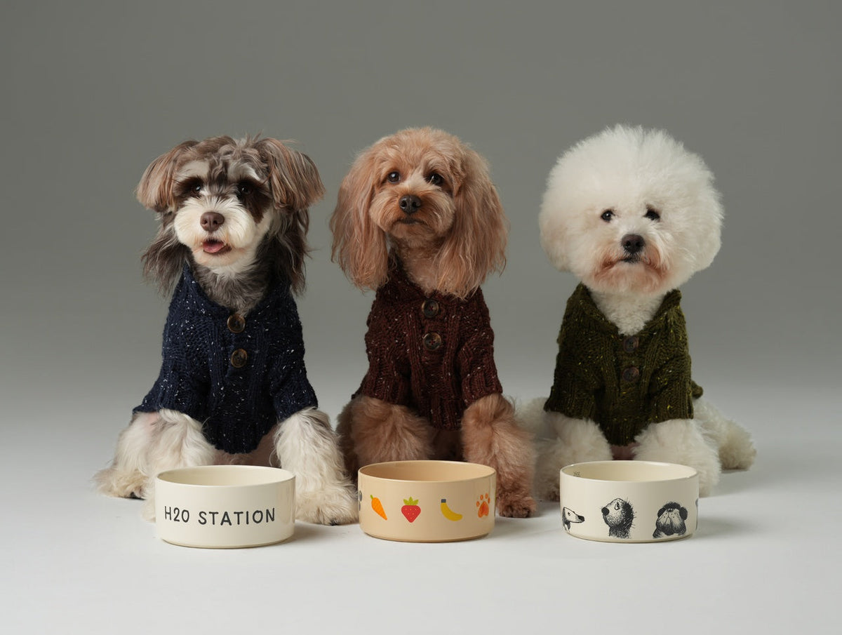 Glacier Pet Sweater-Olive Green