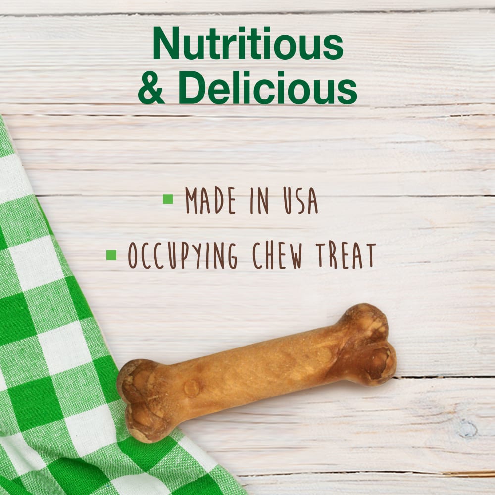 Nylabone Healthy Edibles Bacon Bone Chew Treats (6.2oz) - HT Animal Supply