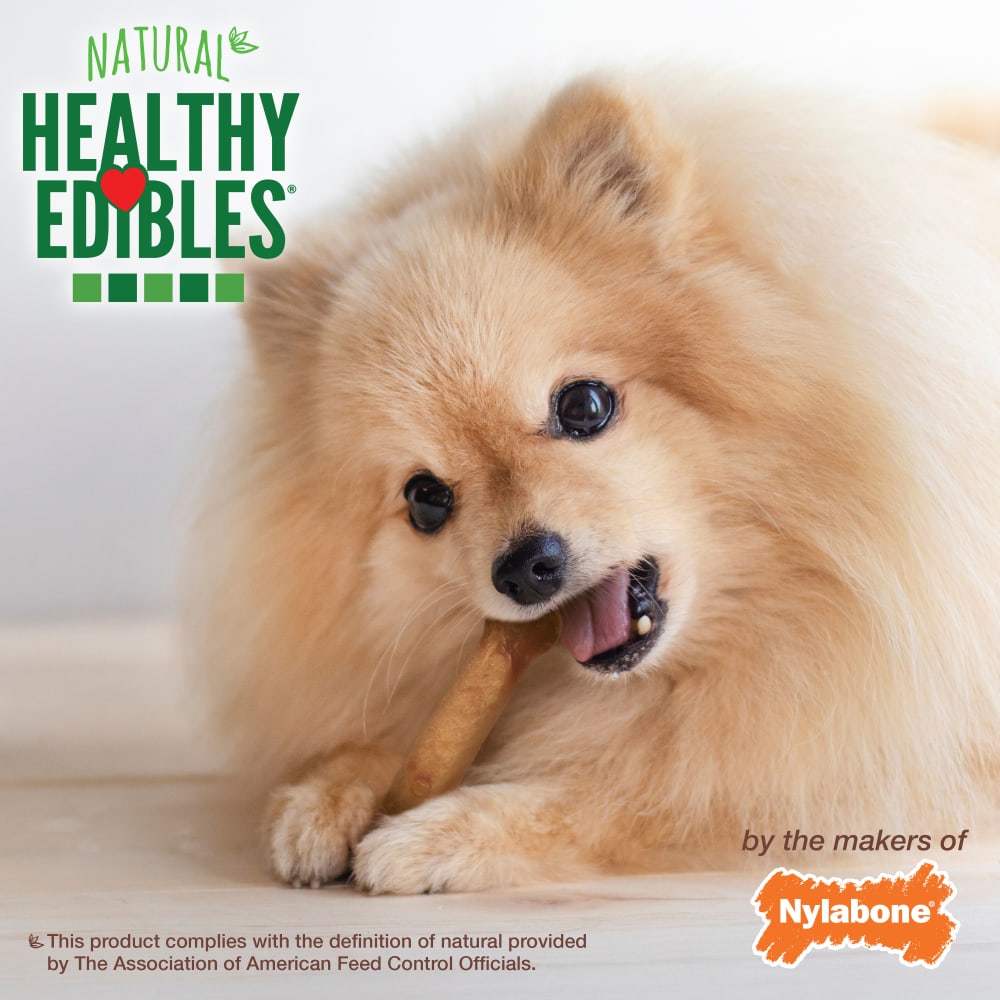 Nylabone Healthy Edibles Bacon Bone Chew Treats (6.2oz) - HT Animal Supply