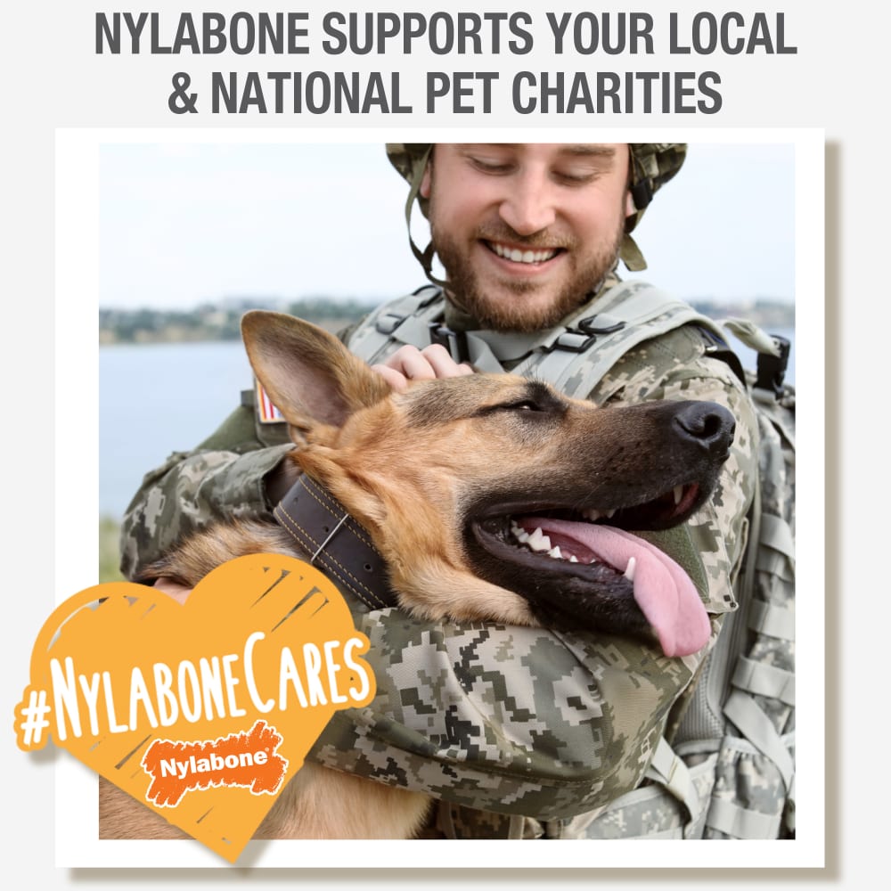 Nylabone Healthy Edibles Bacon Bone Chew Treats (6.2oz) - HT Animal Supply