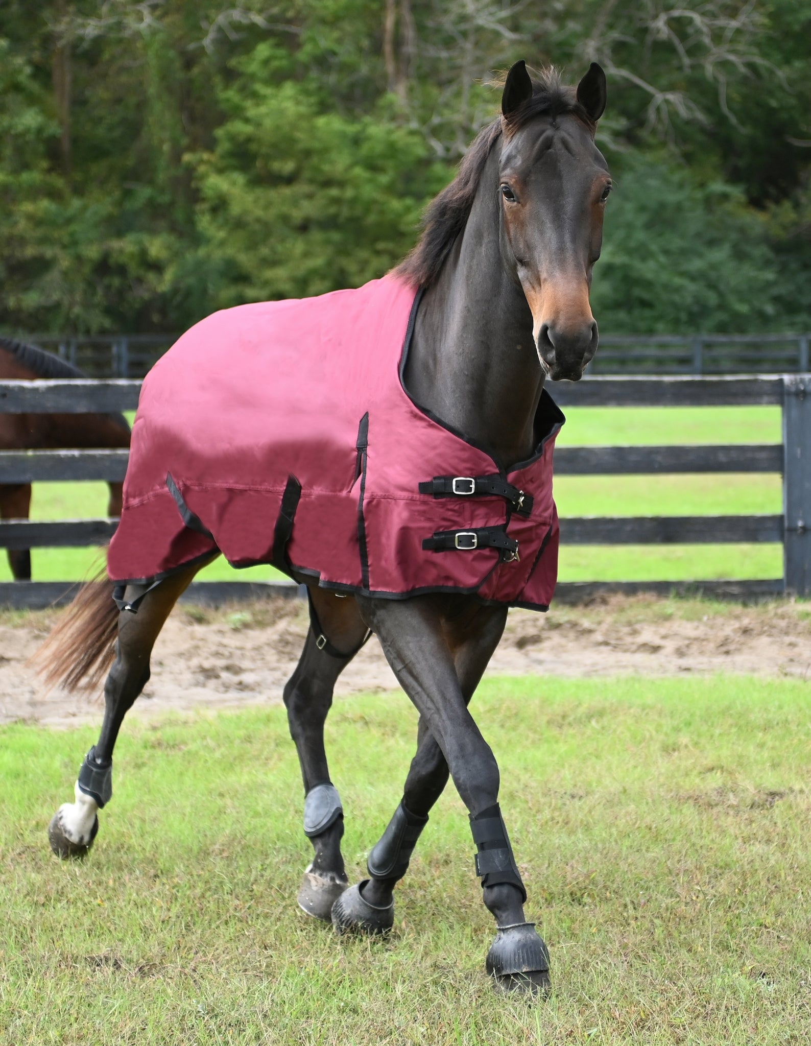 Gatsby Premium 1200D WP Turnout Blanket - Merlot - 78