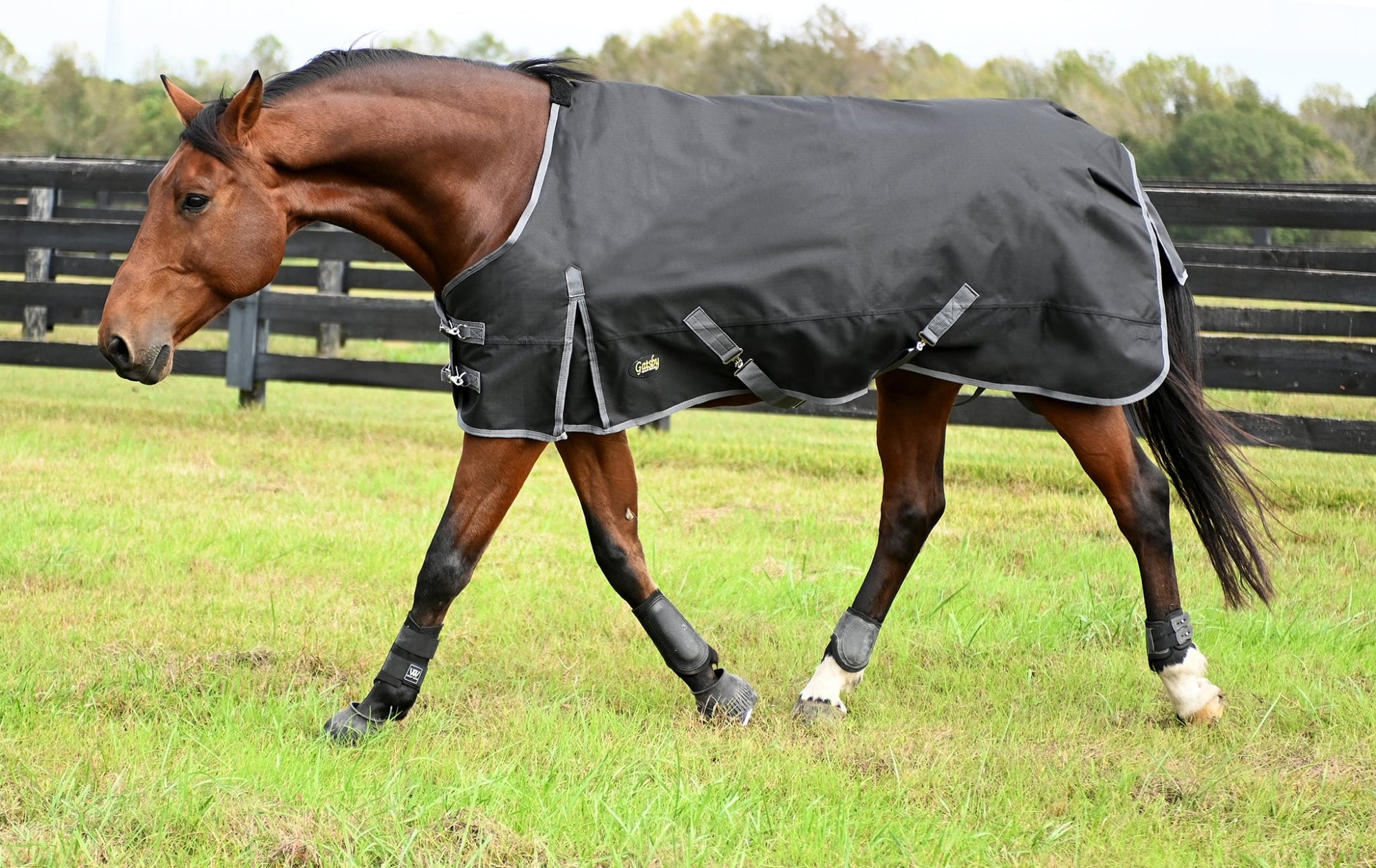 Gatsby Premium 1200D WP Turnout Blanket - Black - 69