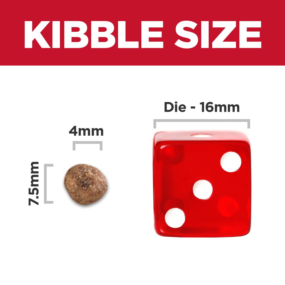 Hills Science Diet Adult Small & Mini Lamb Meal & Brown Rice Recipe Dry Dog Food Bag (4.5lb)