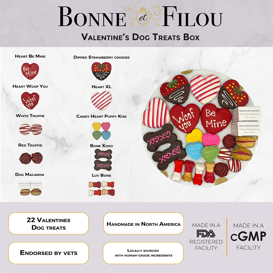 Bonne et Filou – Love My Dog Treat Gift Box