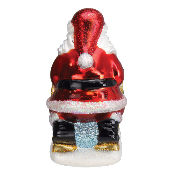 Santas Dog Sled Ornament