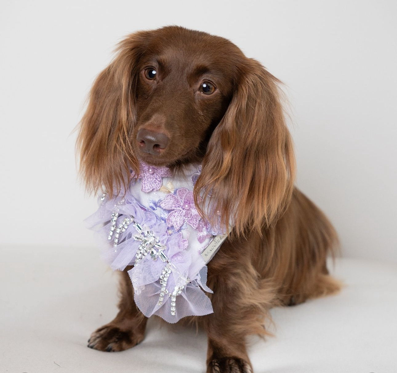 Formal Affair: Shades of Lavender