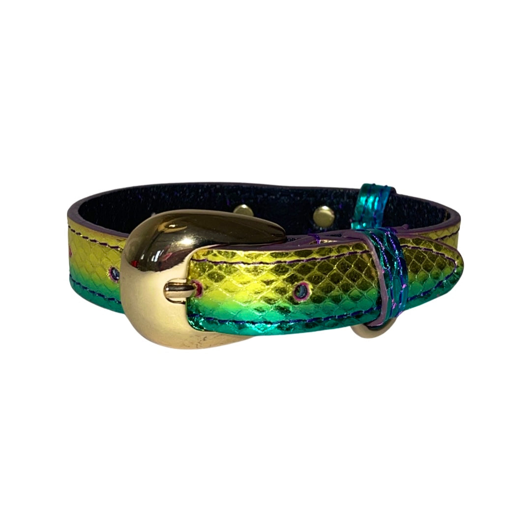 Allysa Payne XS/S 7"-14" Yellow/Green/Red Custom Snake Dog Collar/Custom Gold Italian Hardware