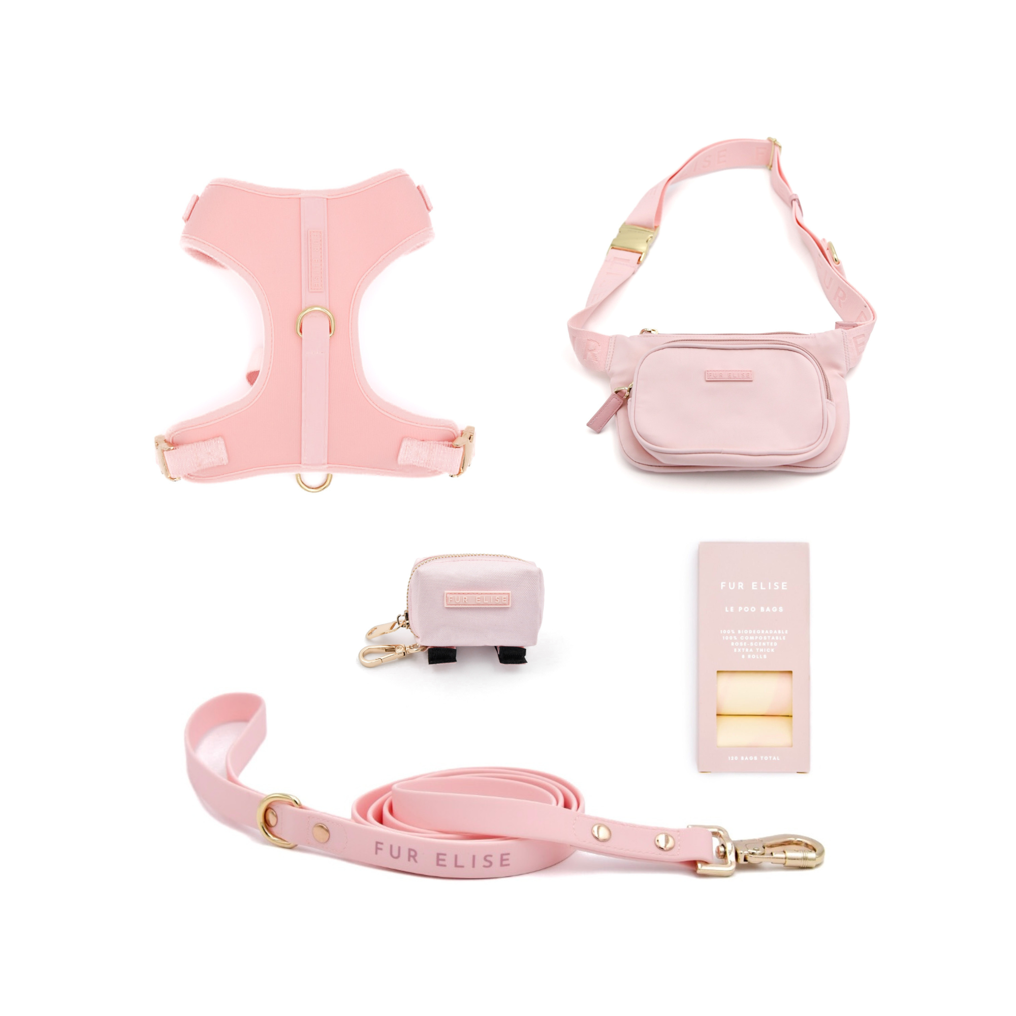 The Ultimate Walk Set - Rose