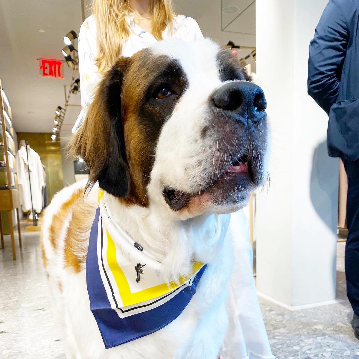 BESPOKE PAWS Erin 100% Silk Twill Dog Scarf, or - Lightweight Comfort Breathable Premium BANDANA