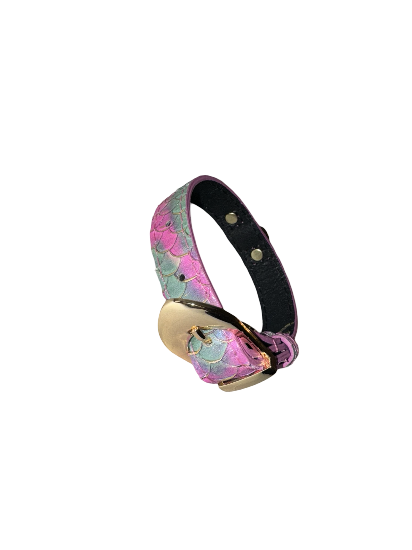 Allysa Payne Mermaid Collection XS Dog Collar