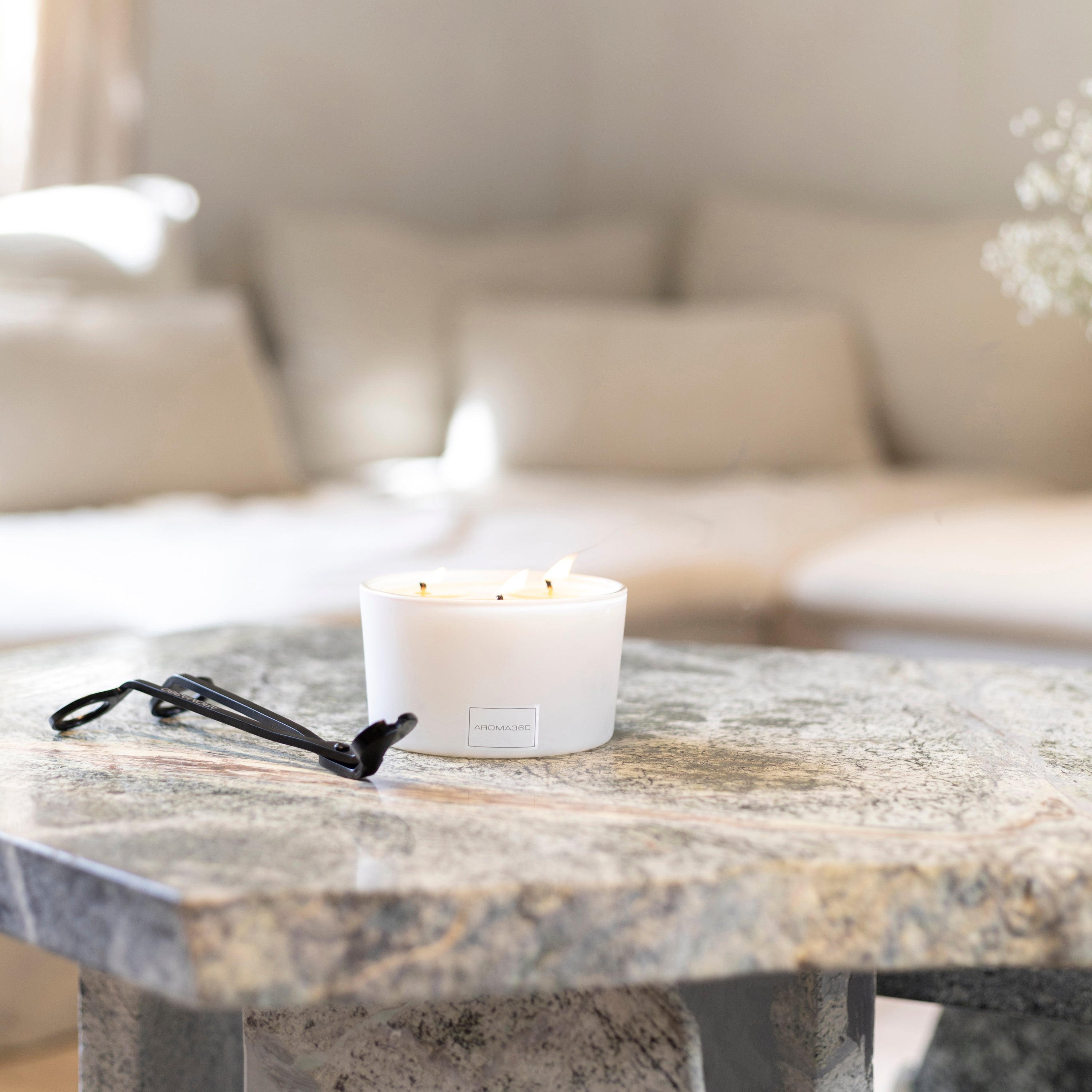 Iris 3-Wick Candle