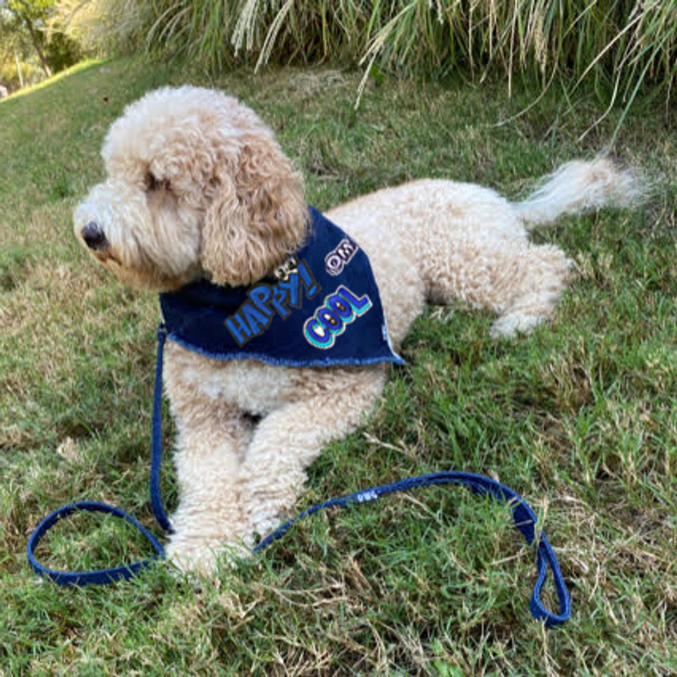 Custom Denim Bandana with Patches