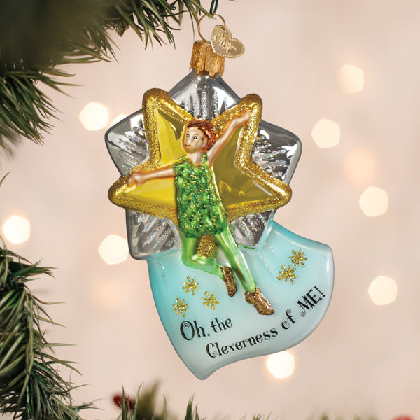 Clever Peter Pan Ornament - HT Animal Supply