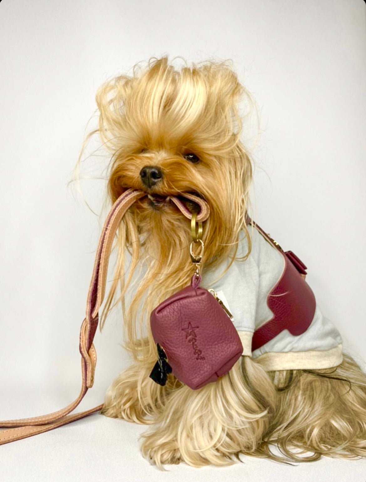 Harness - Luscious Bow