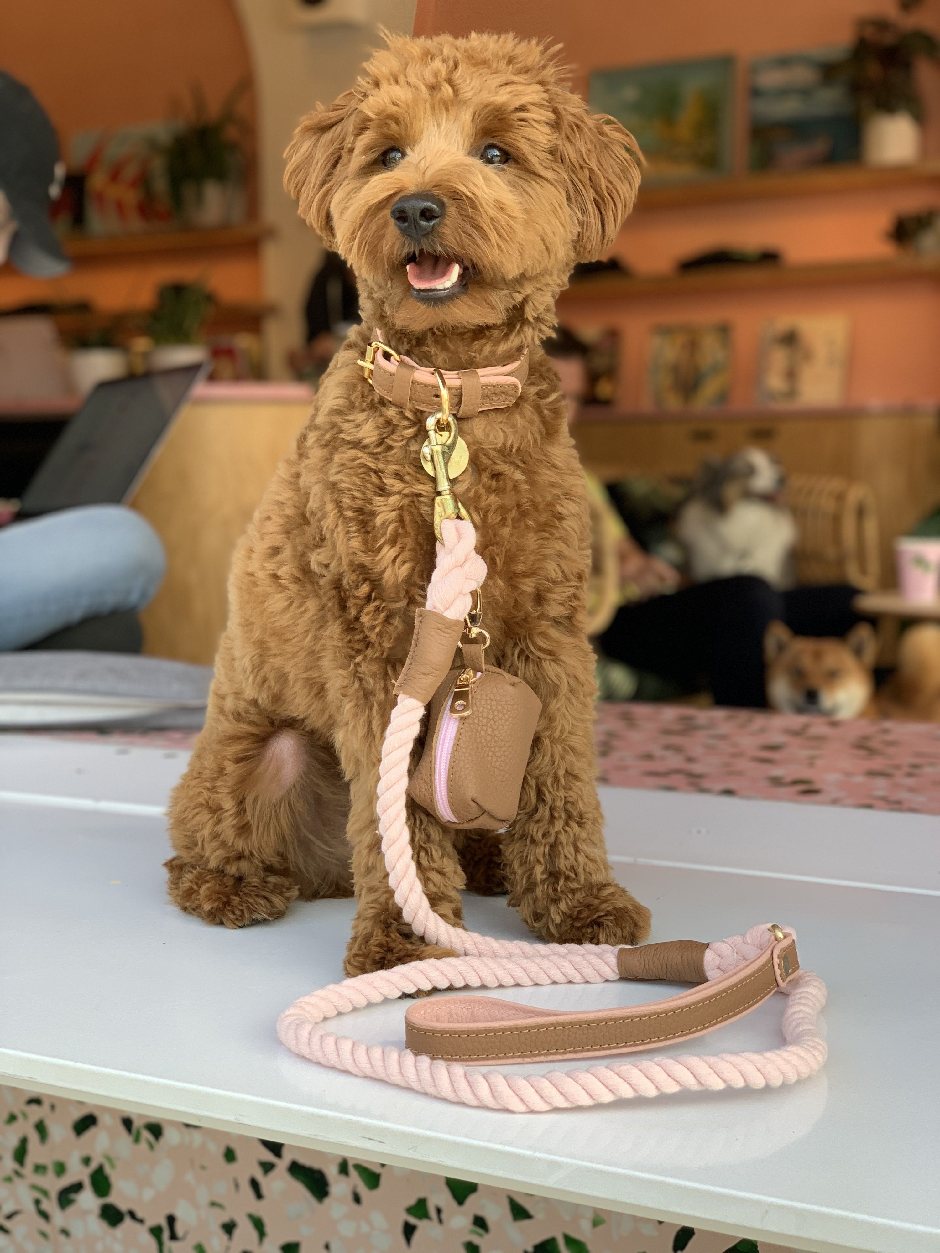 Waste Bag Holder - Bella Rose