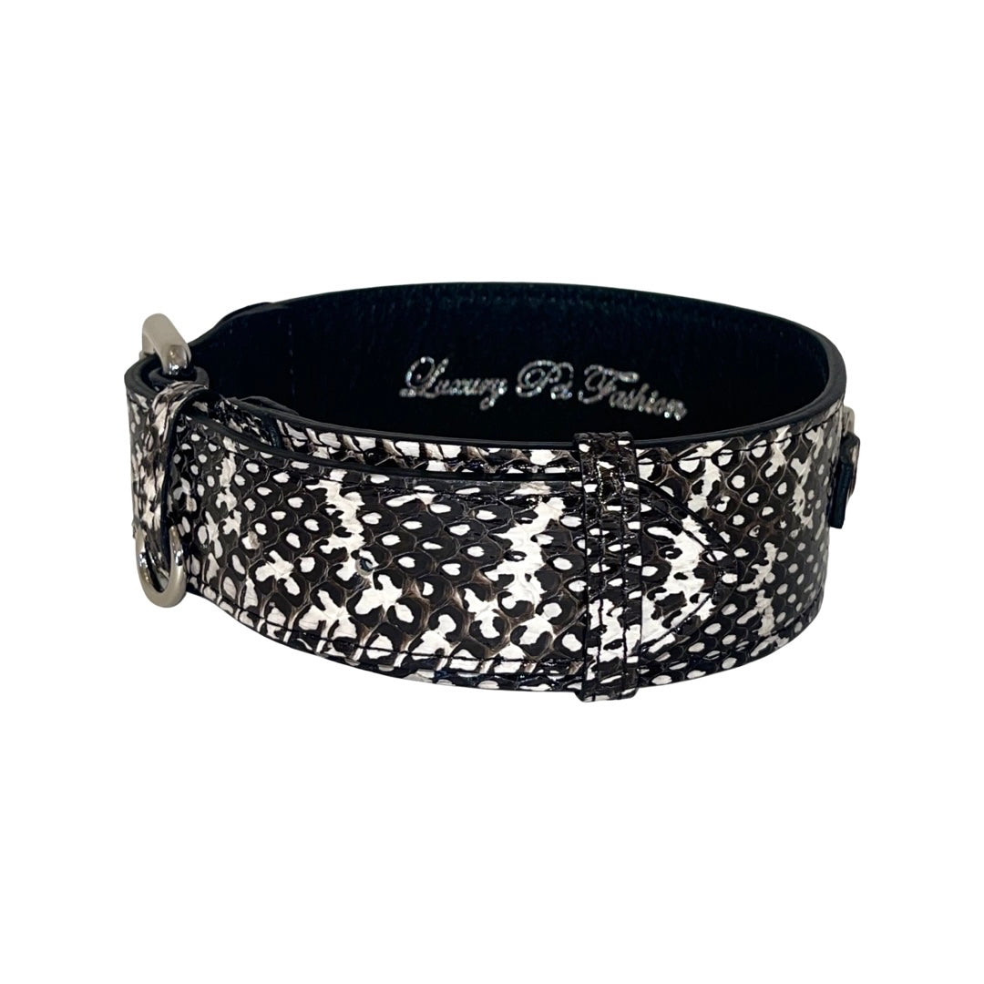 Allysa Payne Black & White Classic Snake Dog Collar