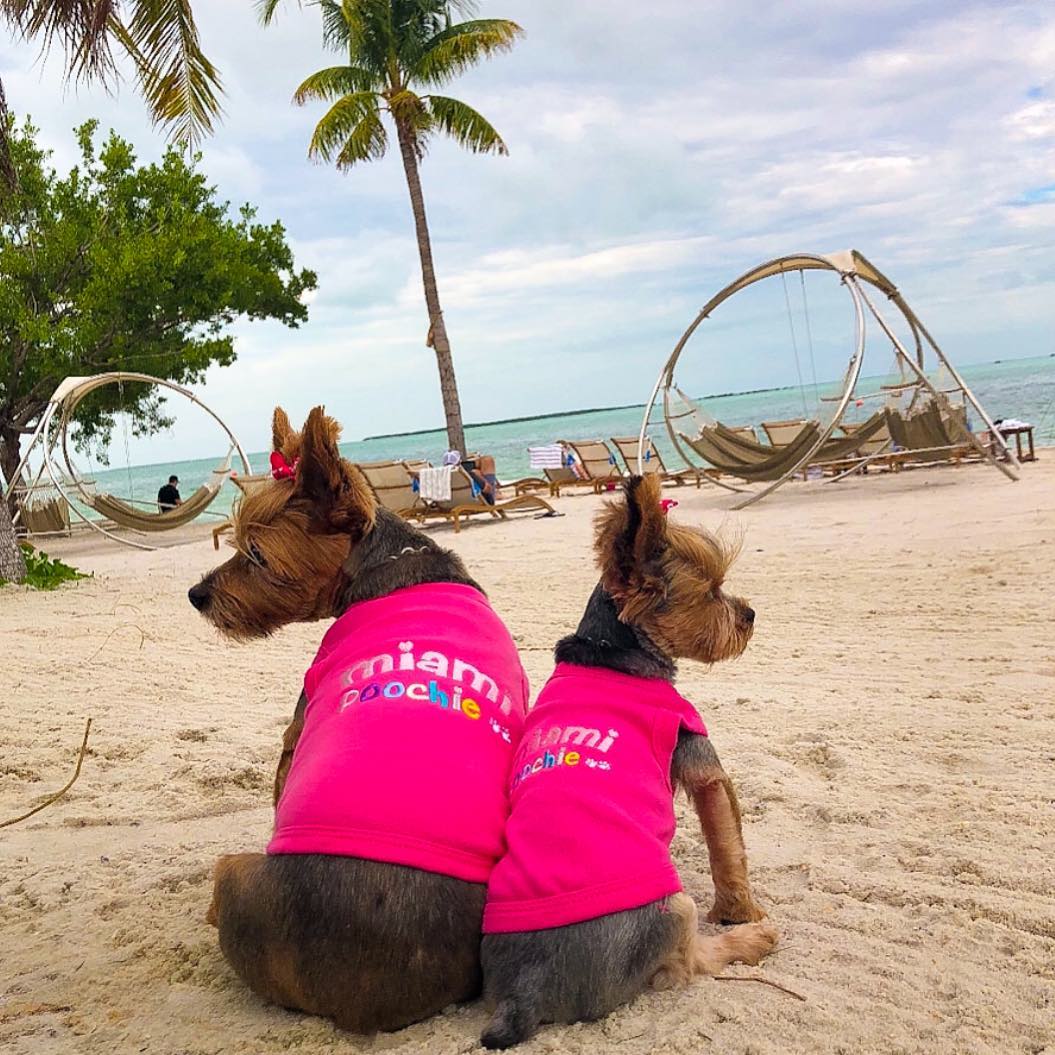 Parisian Pet Miami Poochie Dog T-Shirt-Pink