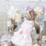 Luxury design dog dress vintage lace