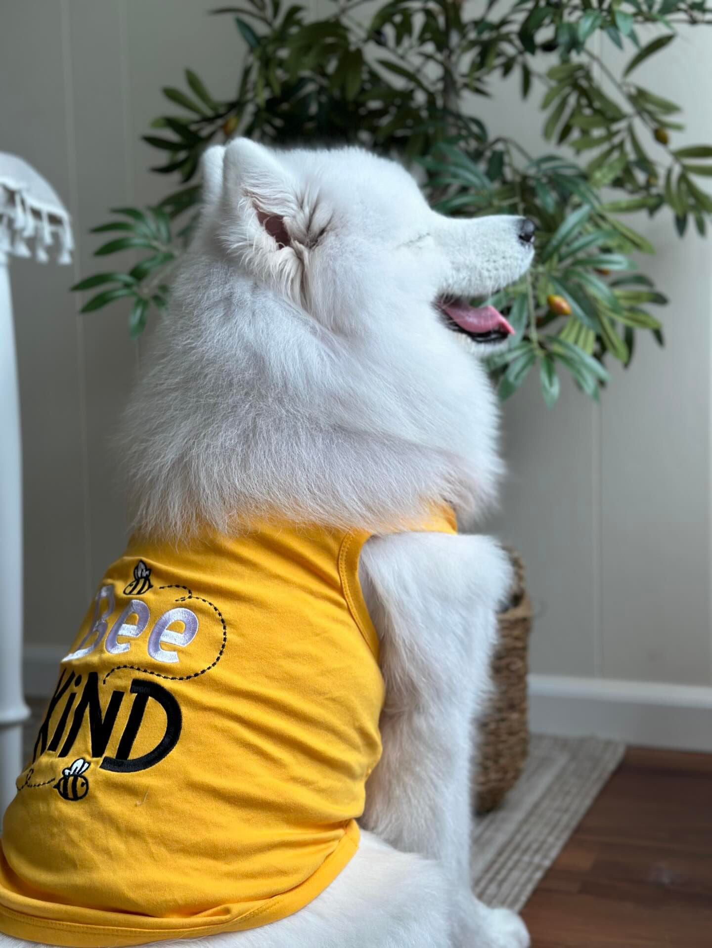 Parisian Pet Bee Kind Embroidered Dog Shirt - Trendy Pet Apparel, Yellow