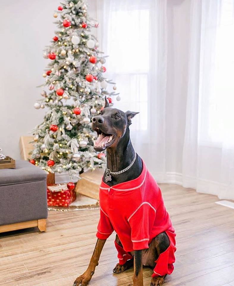 Red Thermal Pajamas 