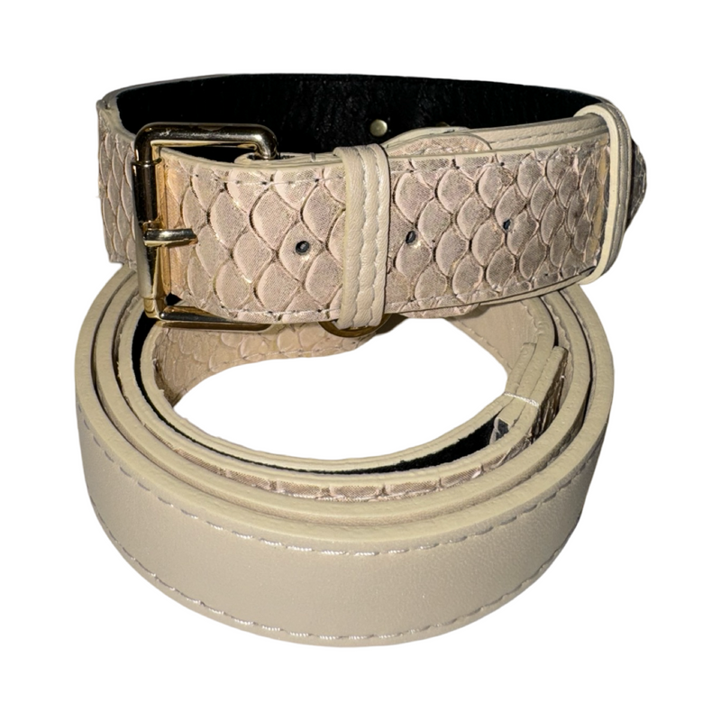 Allysa Payne Hollywood Glam Classic Dog Collar